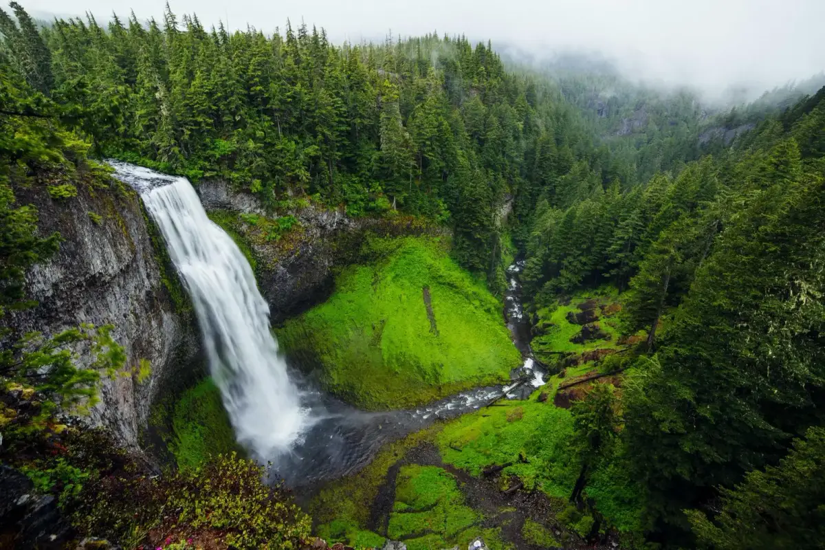 Cachoeira em meio à mata nativa preservada